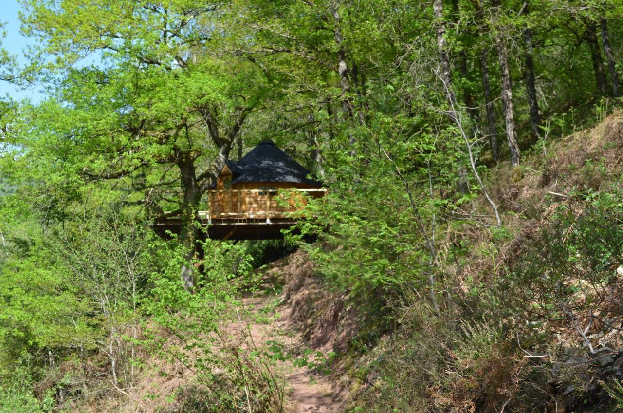 Ma Cabane En Aveyron Conques-en-Rouergue Exteriör bild