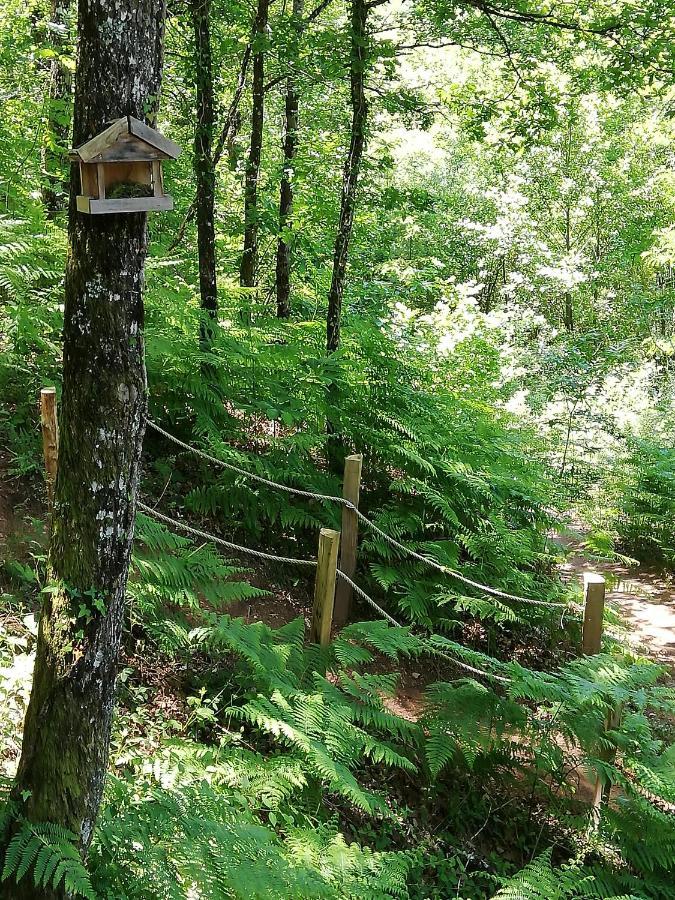 Ma Cabane En Aveyron Conques-en-Rouergue Exteriör bild